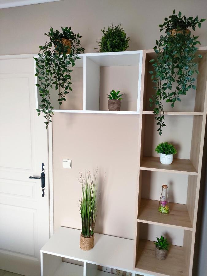 Chambre Privee فوس-سور-مير المظهر الخارجي الصورة